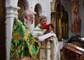 Память прп. Виссариона Египетского
